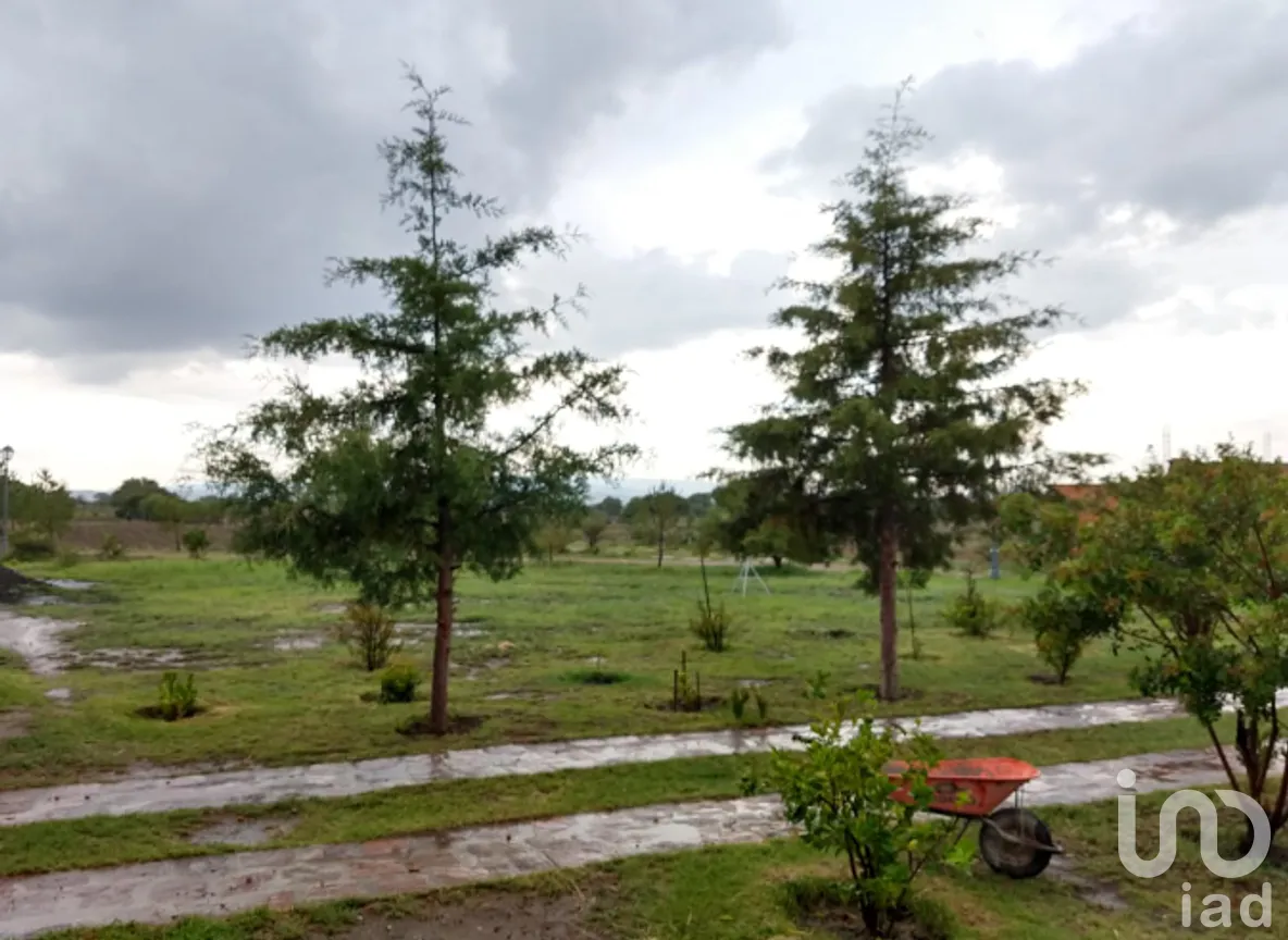 Terreno en Venta en Villa de Arriaga Centro, Villa de Arriaga, San Luis Potosí | NEX-227796 | iad México | Foto 5 de 9