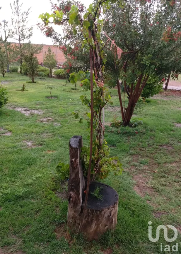 Terreno en Venta en Villa de Arriaga Centro, Villa de Arriaga, San Luis Potosí | NEX-227796 | iad México | Foto 6 de 9