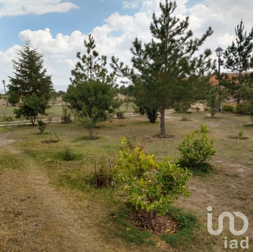 Terreno en Venta en Villa de Arriaga Centro, Villa de Arriaga, San Luis Potosí | NEX-227796 | iad México | Foto 8 de 9