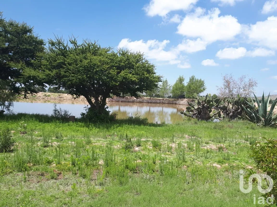 Terreno en Venta en Villa de Arriaga Centro, Villa de Arriaga, San Luis Potosí | NEX-227833 | iad México | Foto 2 de 13