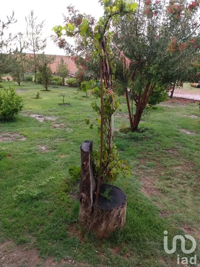 Terreno en Venta en Villa de Arriaga Centro, Villa de Arriaga, San Luis Potosí | NEX-227833 | iad México | Foto 4 de 13