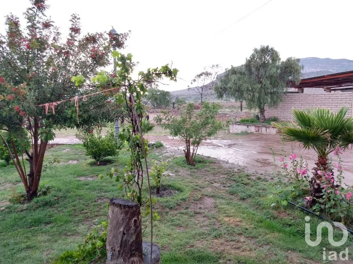 Terreno en Venta en Villa de Arriaga Centro, Villa de Arriaga, San Luis Potosí | NEX-227833 | iad México | Foto 10 de 13