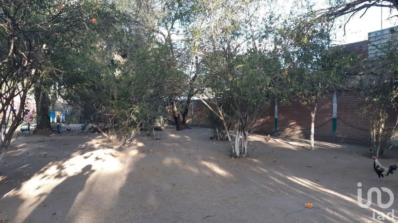 Terreno en Venta en Villa de Pozos, San Luis Potosí, San Luis Potosí | NEX-229100 | iad México | Foto 6 de 12