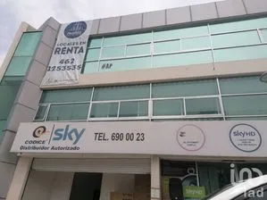 NEX-200234 - Oficina en Renta, con 80 m2 de construcción en Las Plazas, CP 36620, Guanajuato.