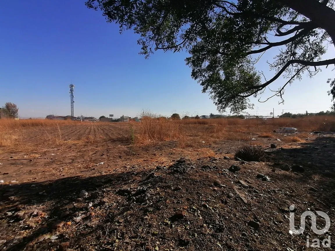 Terreno en Renta en Plan de Guanajuato, Irapuato, Guanajuato | NEX-278813 | iad México | Foto 4 de 9
