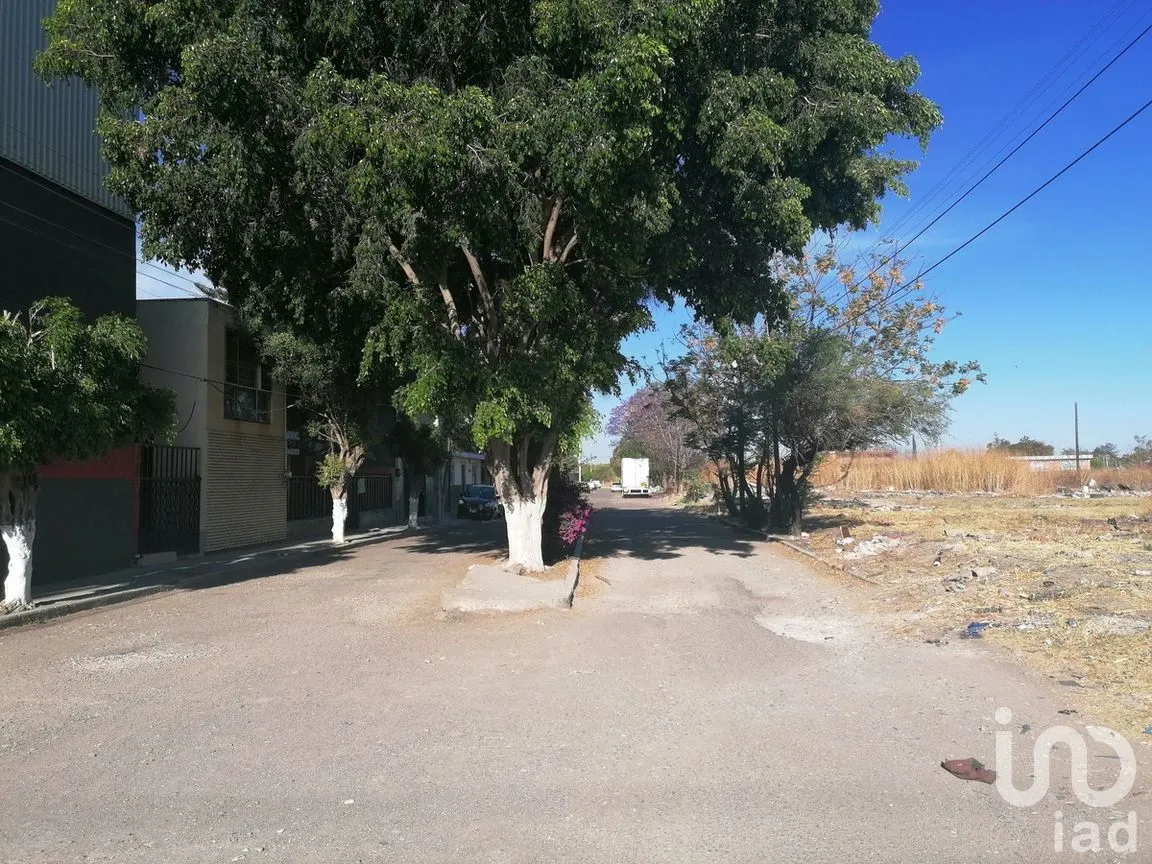 Terreno en Renta en Plan de Guanajuato, Irapuato, Guanajuato | NEX-278813 | iad México | Foto 5 de 9