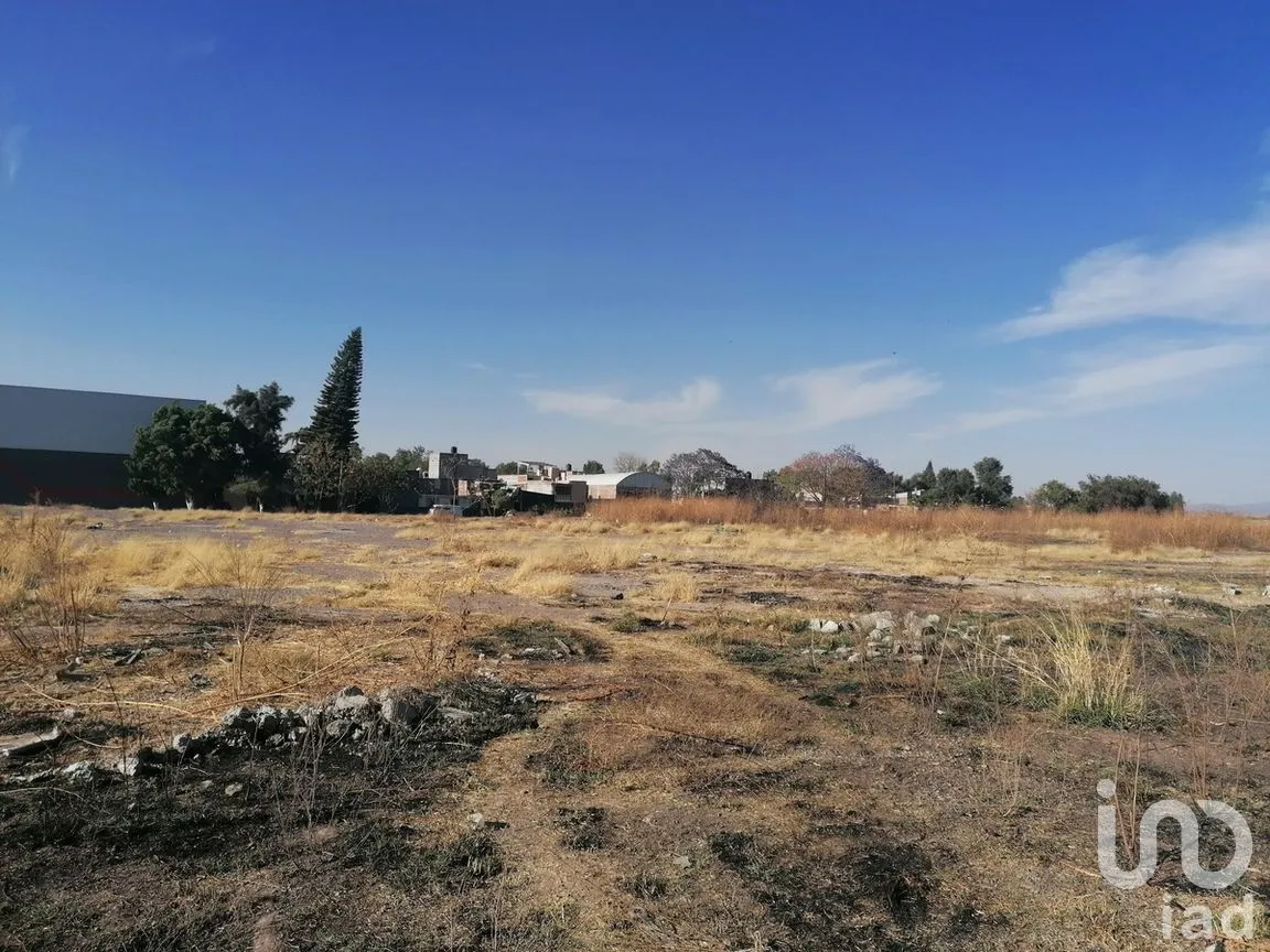 Terreno en Renta en Plan de Guanajuato, Irapuato, Guanajuato | NEX-278813 | iad México | Foto 6 de 9