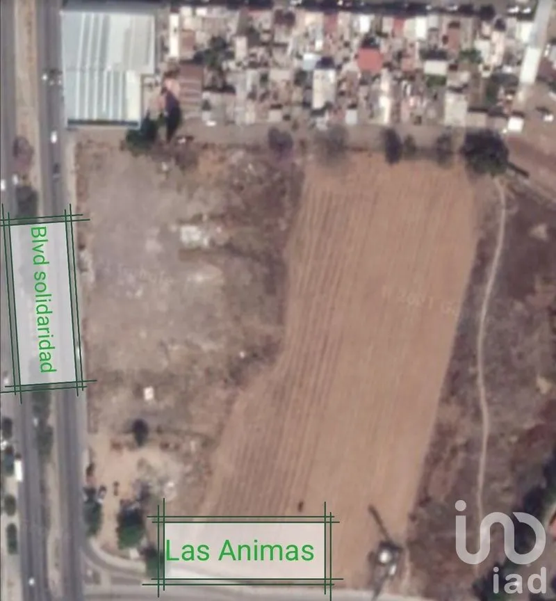 Terreno en Renta en Plan de Guanajuato, Irapuato, Guanajuato | NEX-278813 | iad México | Foto 7 de 9