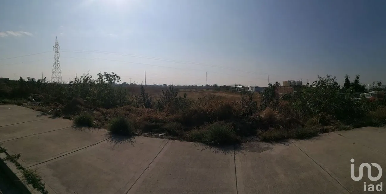 Terreno en Venta en Ejido Lo de Juárez, Irapuato, Guanajuato | NEX-278817 | iad México | Foto 3 de 3