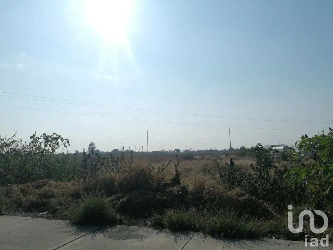 Terreno en Venta en Ejido Lo de Juárez, Irapuato, Guanajuato | NEX-278817 | iad México | Foto 1 de 3