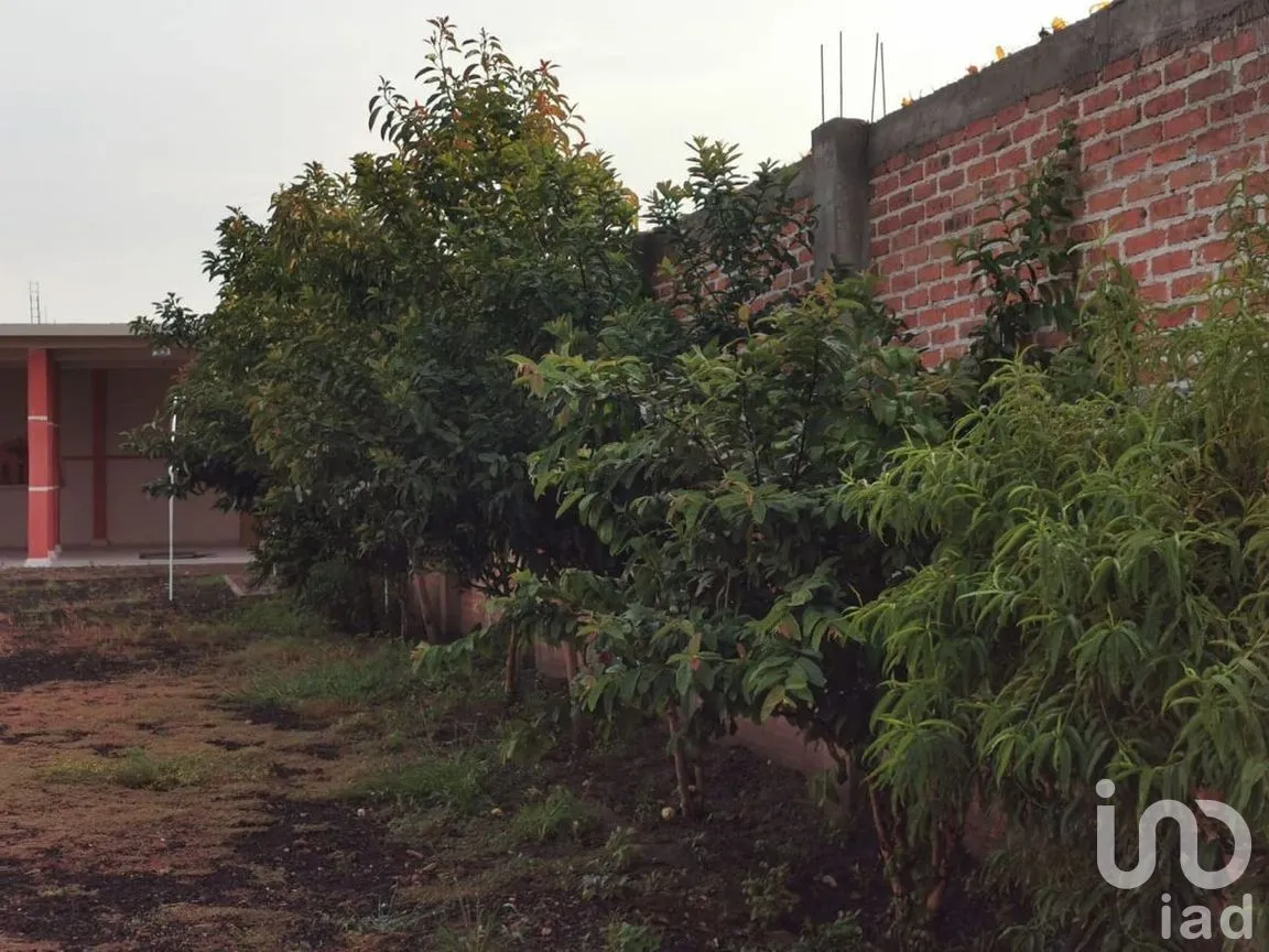 Terreno en Venta en Rancho Grande, Irapuato, Guanajuato | NEX-278819 | iad México | Foto 7 de 7