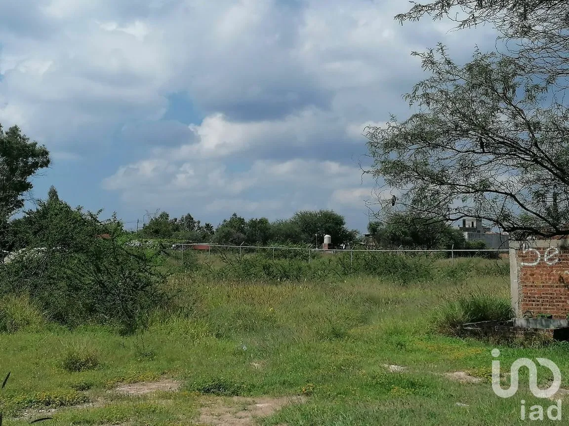 Terreno en Venta en Tamazula, Abasolo, Guanajuato | NEX-278825 | iad México | Foto 2 de 6