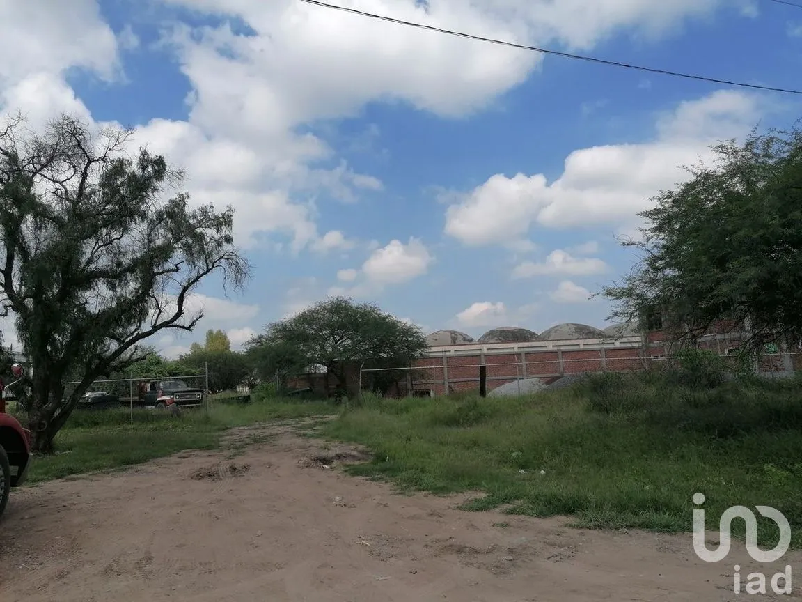 Terreno en Venta en Tamazula, Abasolo, Guanajuato | NEX-278825 | iad México | Foto 4 de 6