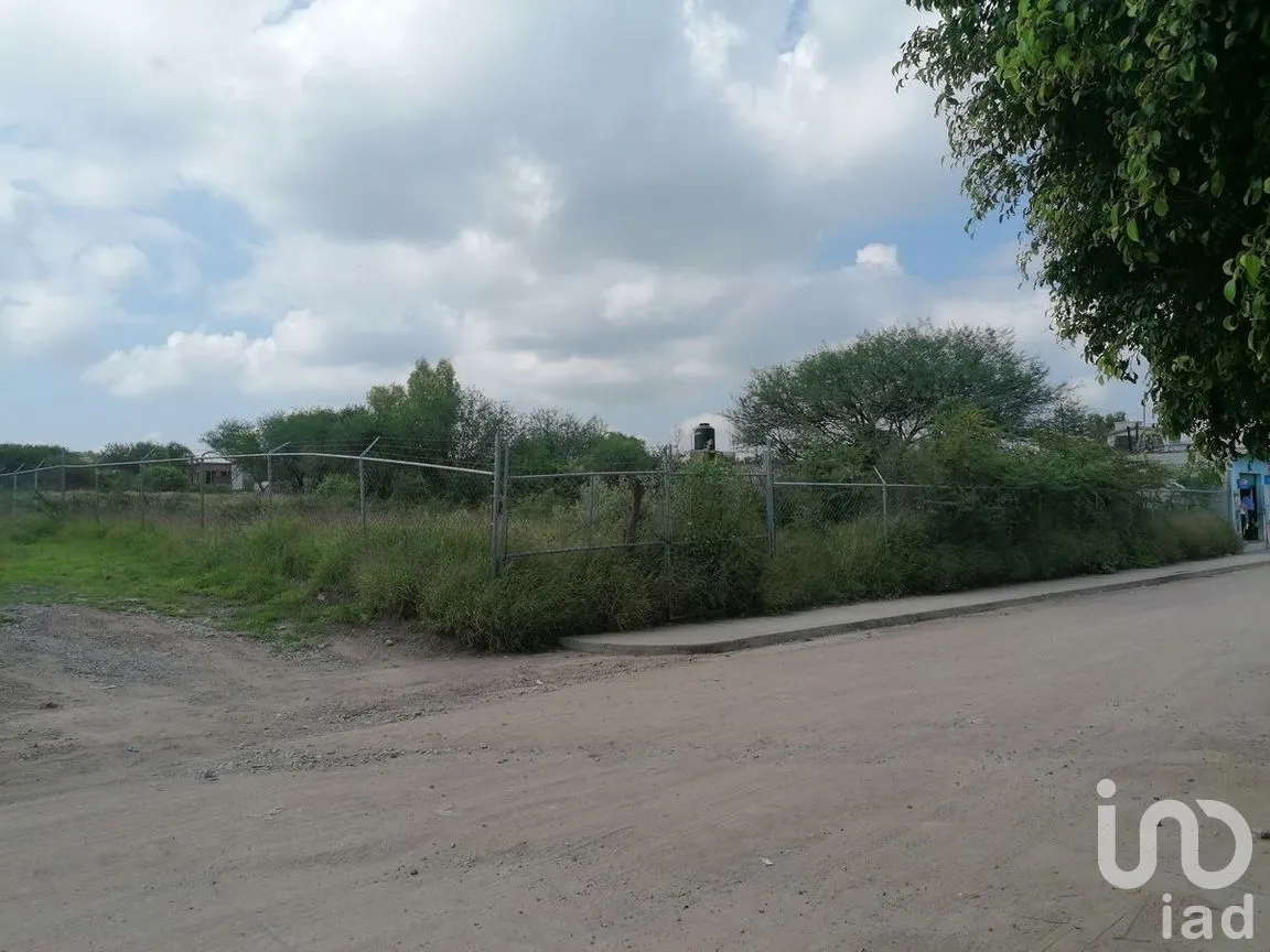Terreno en Venta en Tamazula, Abasolo, Guanajuato | NEX-278825 | iad México | Foto 6 de 6