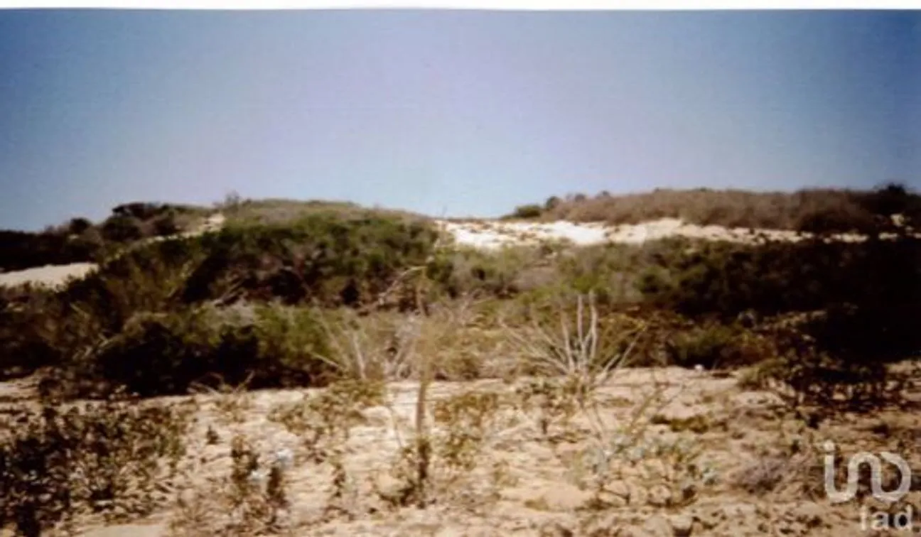 Terreno en Venta en El Carrizal, La Paz, Baja California Sur | NEX-226655 | iad México | Foto 14 de 22