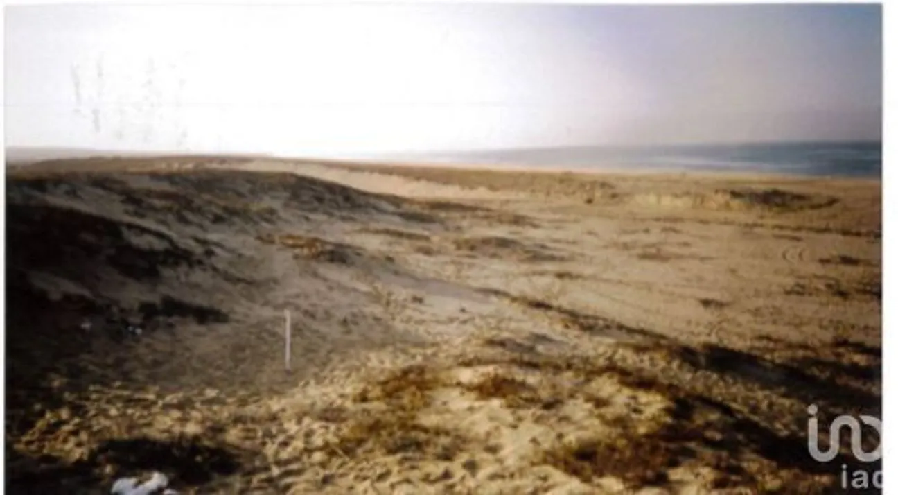 Terreno en Venta en El Carrizal, La Paz, Baja California Sur | NEX-226655 | iad México | Foto 16 de 22