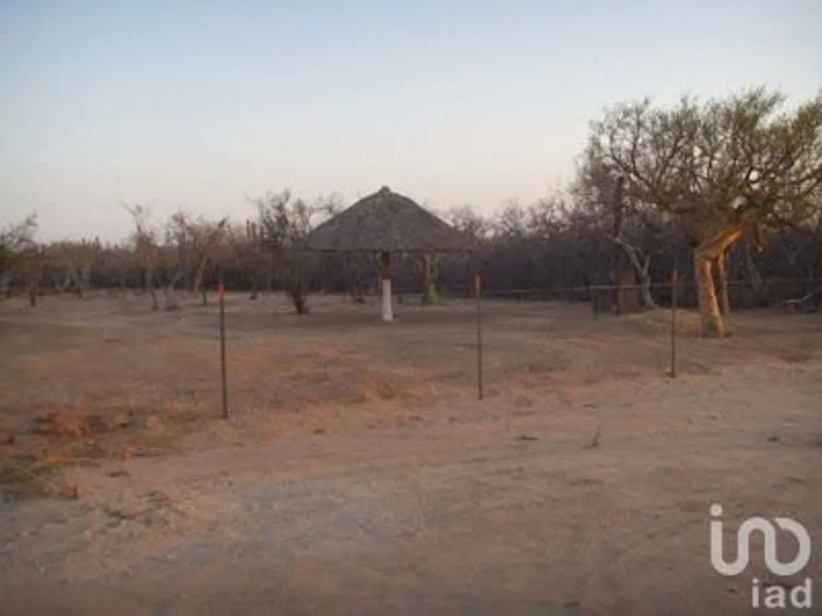 Terreno en Venta en El Carrizal, La Paz, Baja California Sur | NEX-226655 | iad México | Foto 9 de 22