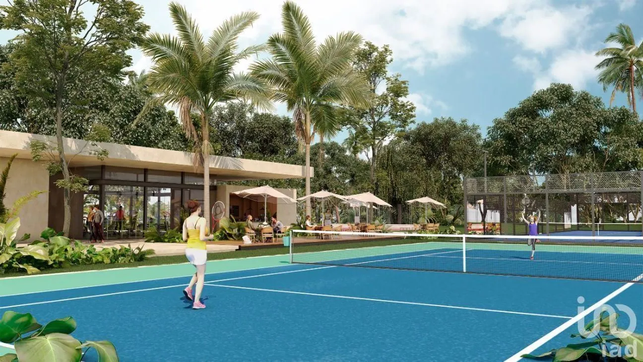 Terreno en Venta en Xpu Ha, Solidaridad, Quintana Roo | NEX-226661 | iad México | Foto 8 de 10