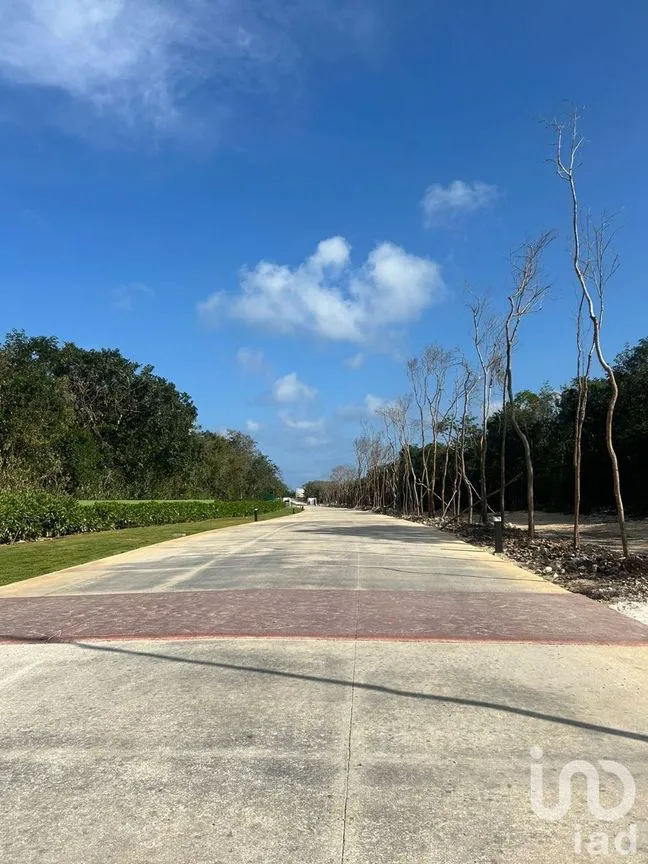 Terreno en Venta en Xpu Ha, Solidaridad, Quintana Roo | NEX-226662 | iad México | Foto 2 de 25