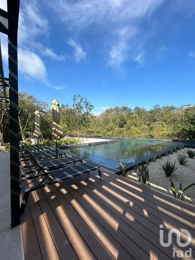 Terreno en Venta en Xpu Ha, Solidaridad, Quintana Roo | NEX-226662 | iad México | Foto 11 de 25