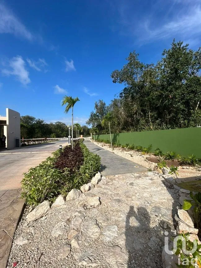 Terreno en Venta en Xpu Ha, Solidaridad, Quintana Roo | NEX-226662 | iad México | Foto 14 de 25