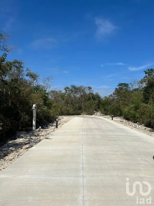 Terreno en Venta en Xpu Ha, Solidaridad, Quintana Roo | NEX-226662 | iad México | Foto 15 de 25