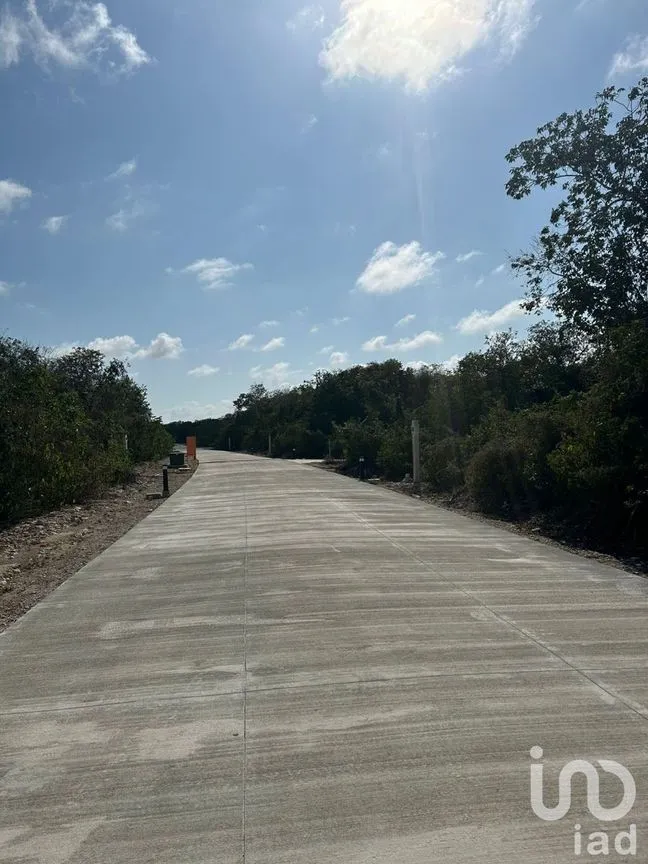 Terreno en Venta en Xpu Ha, Solidaridad, Quintana Roo | NEX-226662 | iad México | Foto 20 de 25