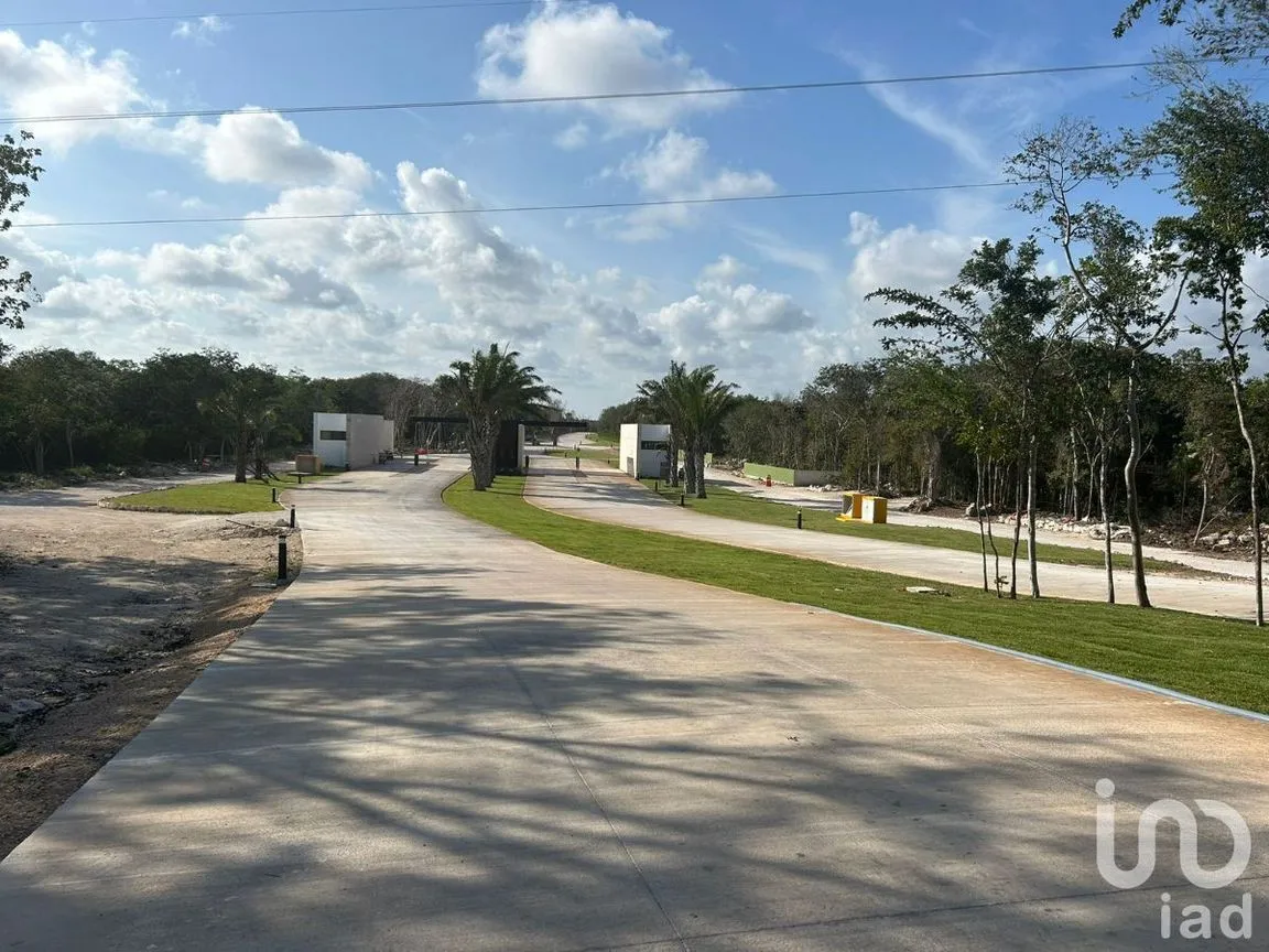 Terreno en Venta en Xpu Ha, Solidaridad, Quintana Roo | NEX-226662 | iad México | Foto 3 de 25