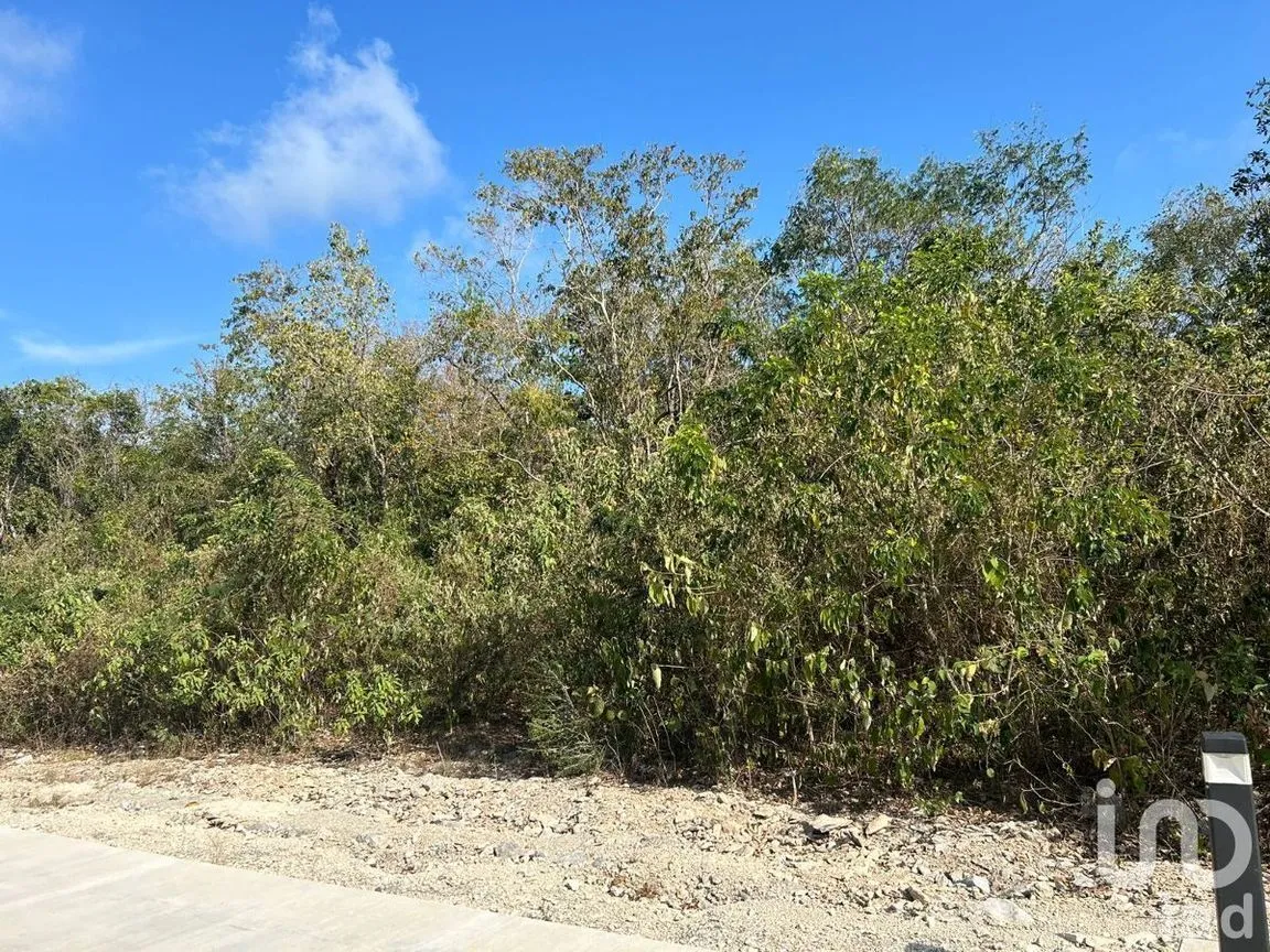 Terreno en Venta en Xpu Ha, Solidaridad, Quintana Roo | NEX-226662 | iad México | Foto 5 de 25