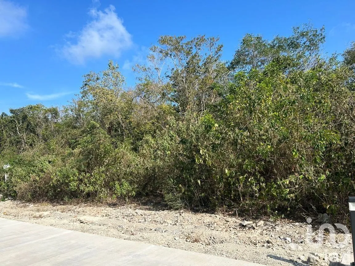 Terreno en Venta en Xpu Ha, Solidaridad, Quintana Roo | NEX-226662 | iad México | Foto 6 de 25