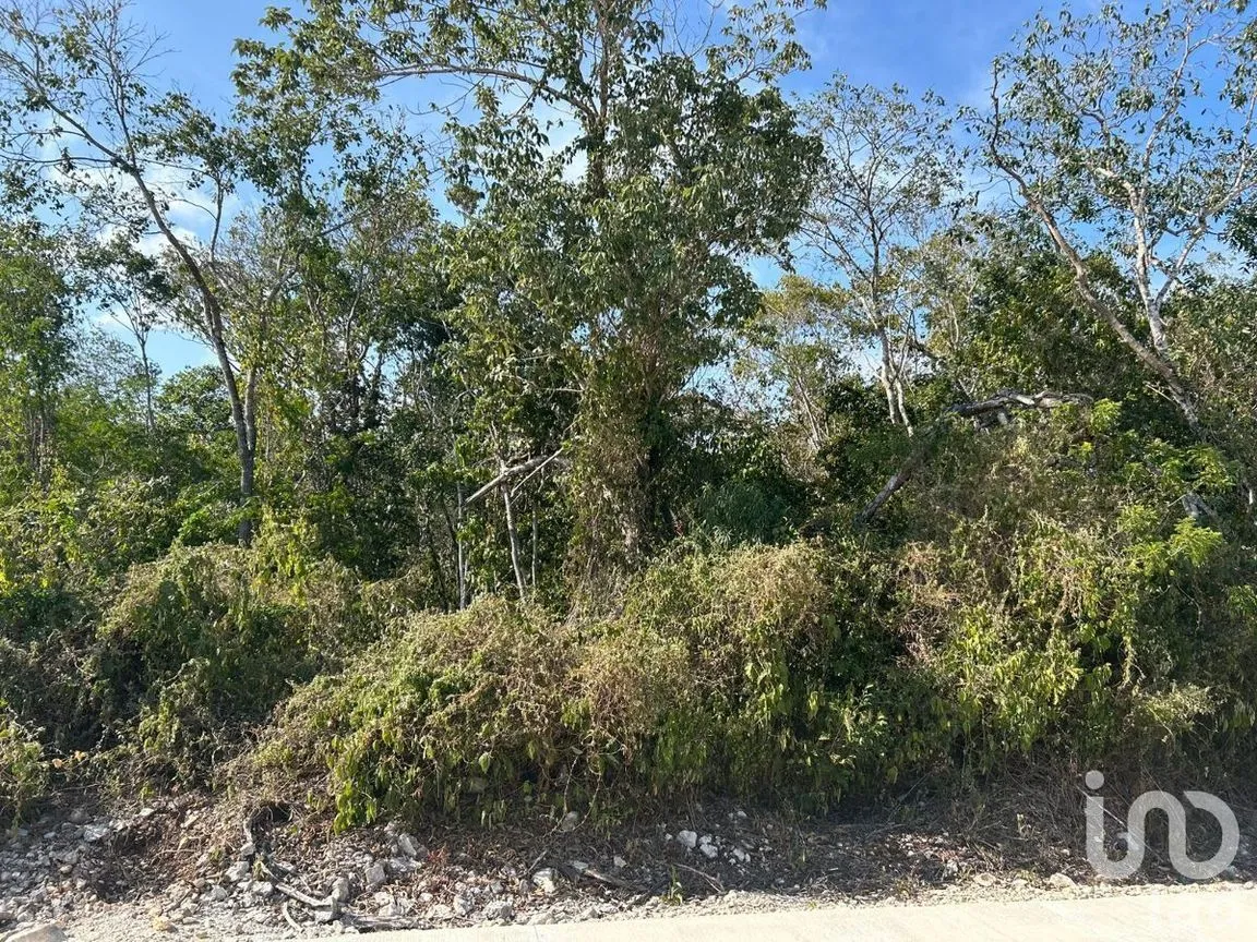 Terreno en Venta en Xpu Ha, Solidaridad, Quintana Roo | NEX-226662 | iad México | Foto 7 de 25