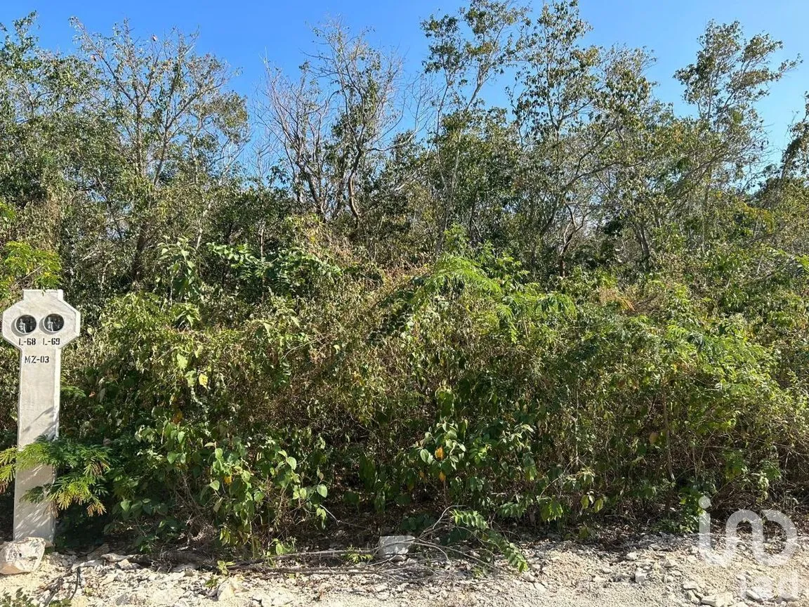 Terreno en Venta en Xpu Ha, Solidaridad, Quintana Roo | NEX-226662 | iad México | Foto 8 de 25