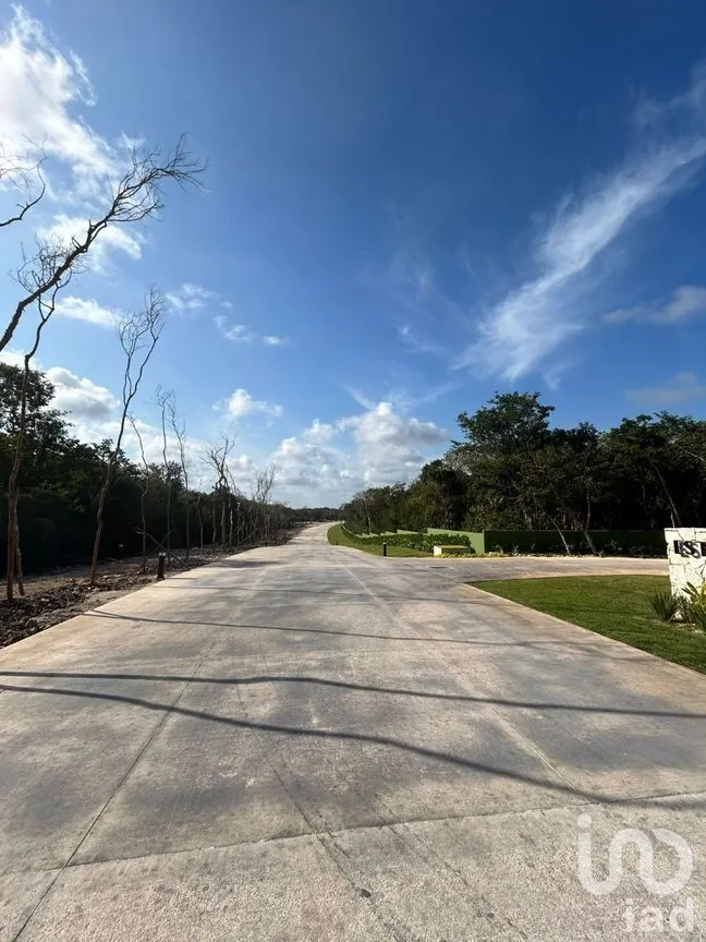 Terreno en Venta en Xpu Ha, Solidaridad, Quintana Roo | NEX-226662 | iad México | Foto 1 de 25