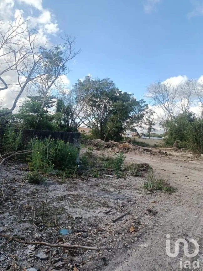 Terreno en Venta en Alfredo V Bonfil, Benito Juárez, Quintana Roo | NEX-227791 | iad México | Foto 4 de 9