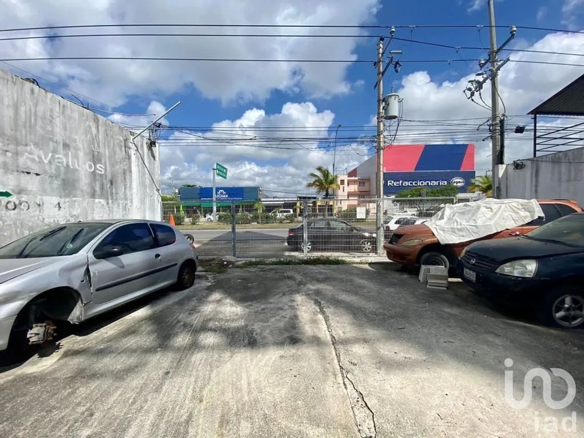 Local en Renta en Región 98, Benito Juárez, Quintana Roo | NEX-231036 | iad México | Foto 7 de 7