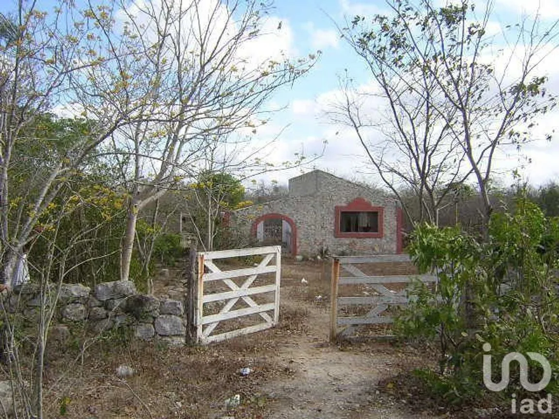 Terreno en Venta en Eknacan, Cuzamá, Yucatán | NEX-111288 | iad México | Foto 3 de 23