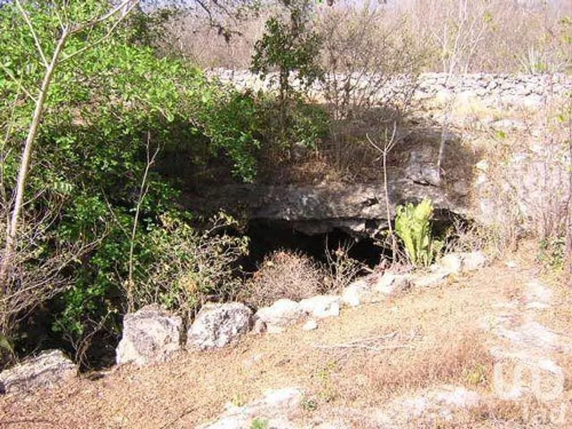 Terreno en Venta en Eknacan, Cuzamá, Yucatán | NEX-111288 | iad México | Foto 14 de 23