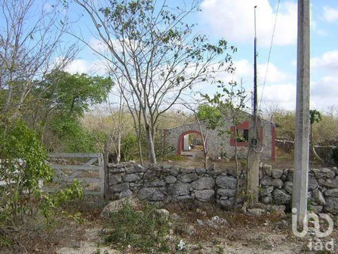 Terreno en Venta en Eknacan, Cuzamá, Yucatán | NEX-111288 | iad México | Foto 2 de 23