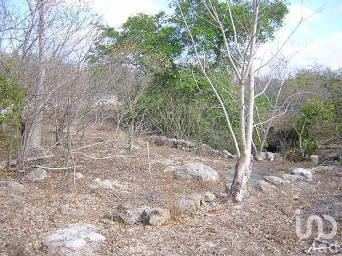 Terreno en Venta en Eknacan, Cuzamá, Yucatán | NEX-111288 | iad México | Foto 4 de 23