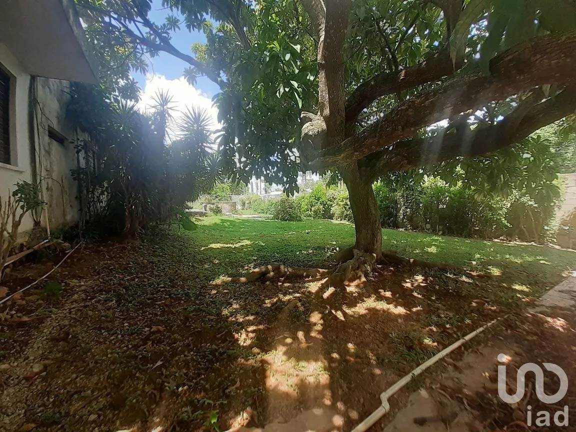 Casa en Renta en Colonial Buenavista, Mérida, Yucatán | NEX-271245 | iad México | Foto 16 de 24