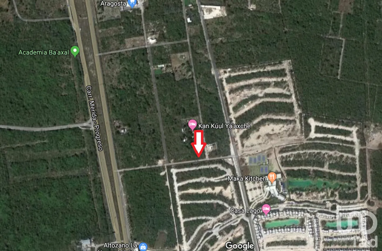 Terreno en Venta en Tamanché, Mérida, Yucatán | NEX-275221 | iad México | Foto 2 de 3