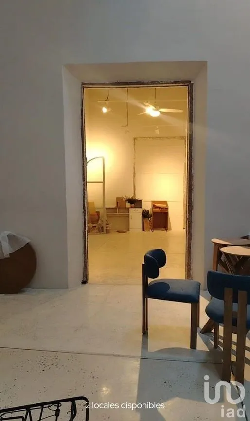 Local en Renta en Mérida Centro, Mérida, Yucatán | NEX-288348 | iad México | Foto 7 de 11