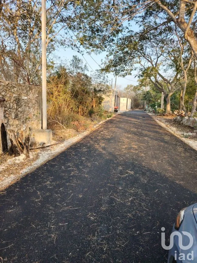 Terreno en Venta en Conkal, Conkal, Yucatán | NEX-230390 | iad México | Foto 3 de 6