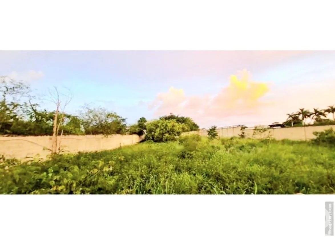 Terreno en Venta en Chichi Suárez, Mérida, Yucatán | NEX-230403 | iad México | Foto 6 de 6