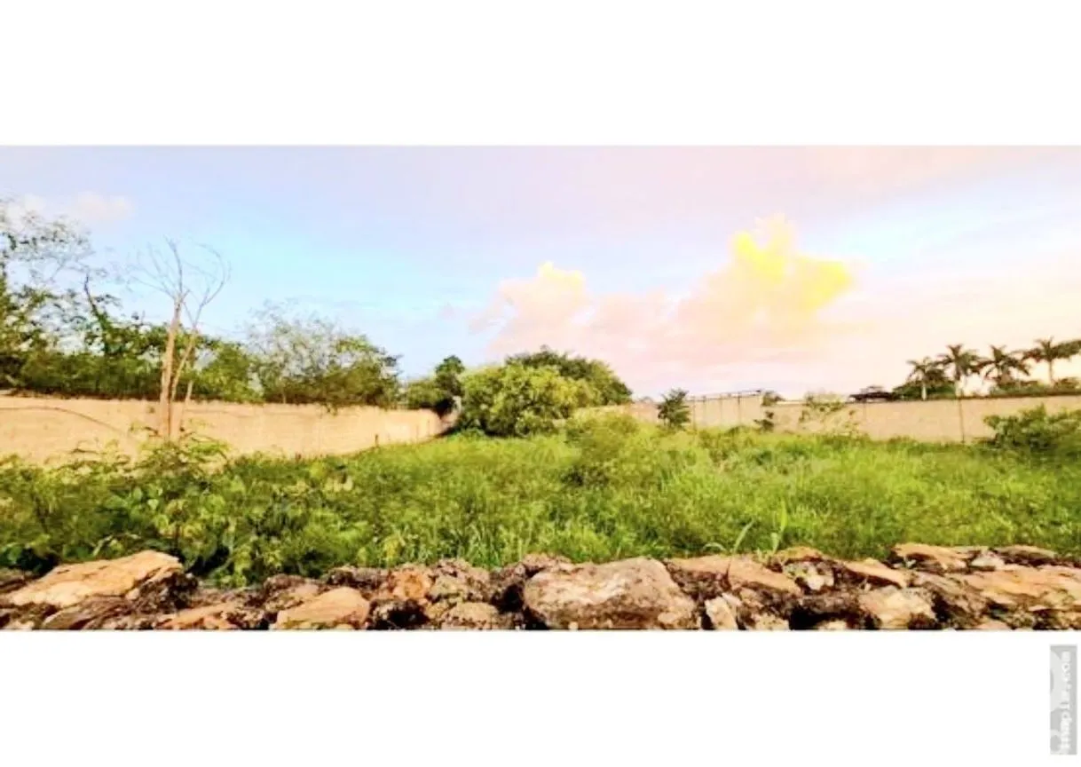 Terreno en Renta en Chichi Suárez, Mérida, Yucatán | NEX-230404 | iad México | Foto 4 de 6