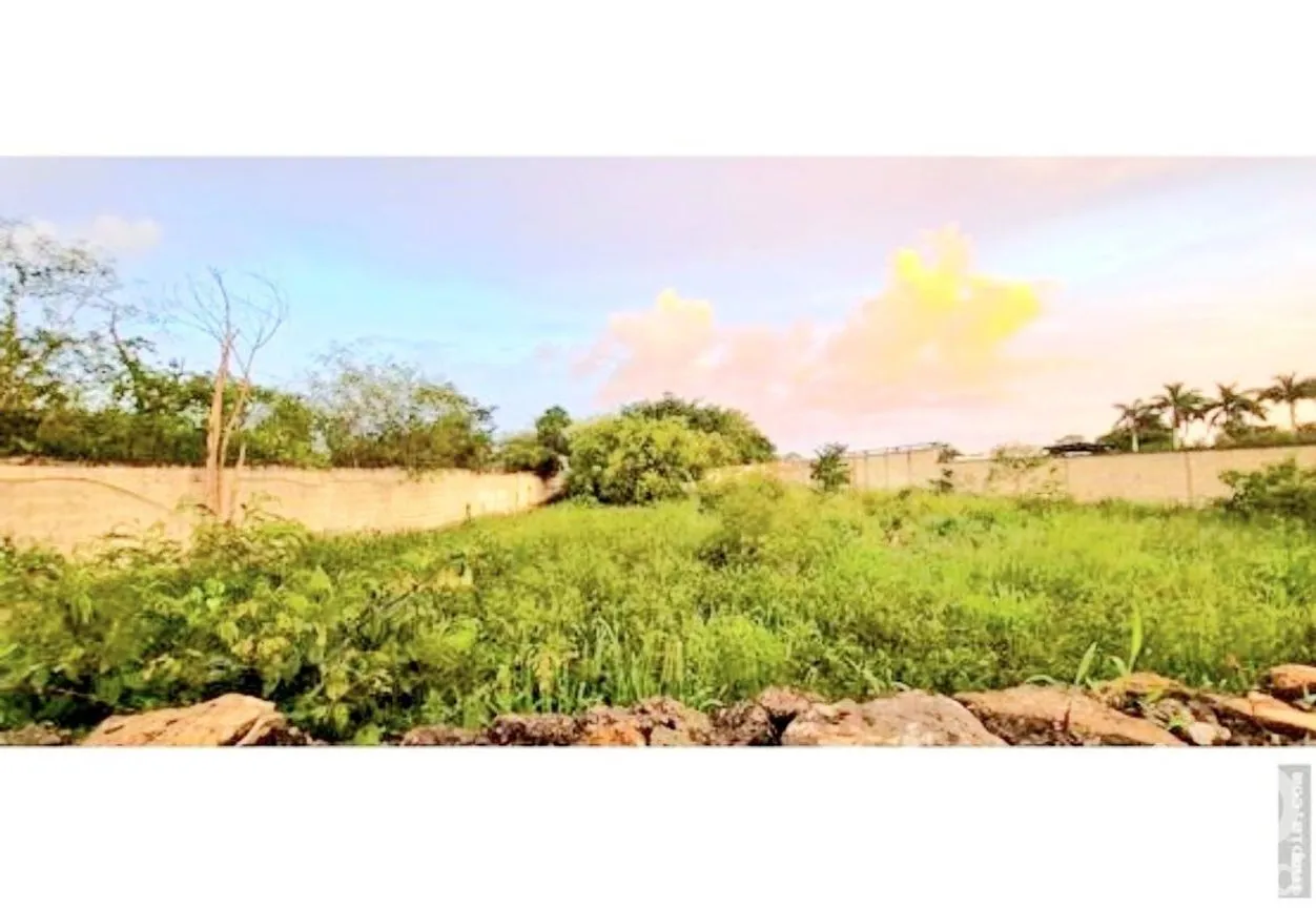Terreno en Renta en Chichi Suárez, Mérida, Yucatán | NEX-230404 | iad M éxico | Foto 5 de 6