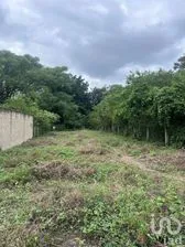 NEX-268114 - Terreno en Venta en 5 Plumas, CP 29020, Chiapas.