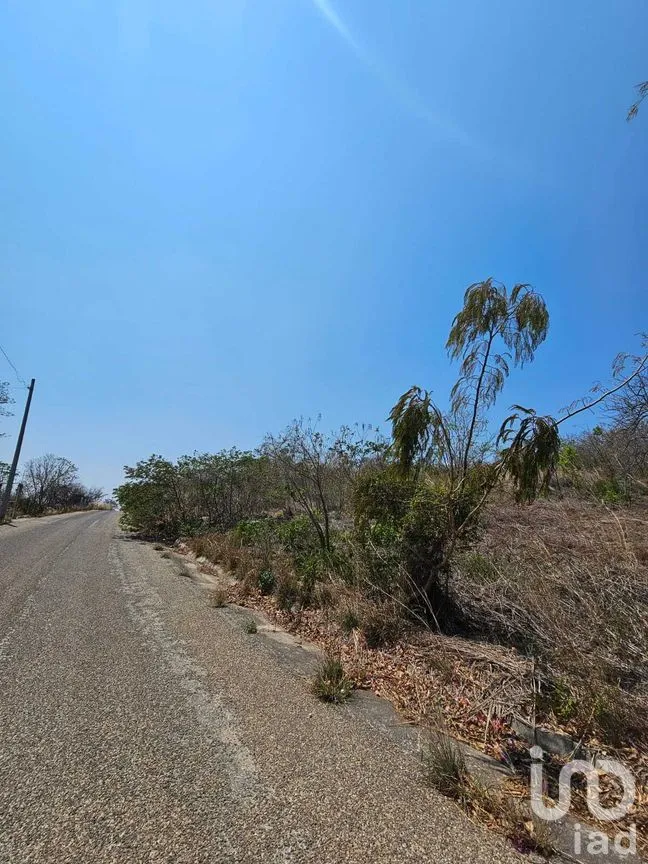 Terreno en Venta en La Ejidal, Berriozábal, Chiapas | NEX-268373 | iad México | Foto 2 de 12
