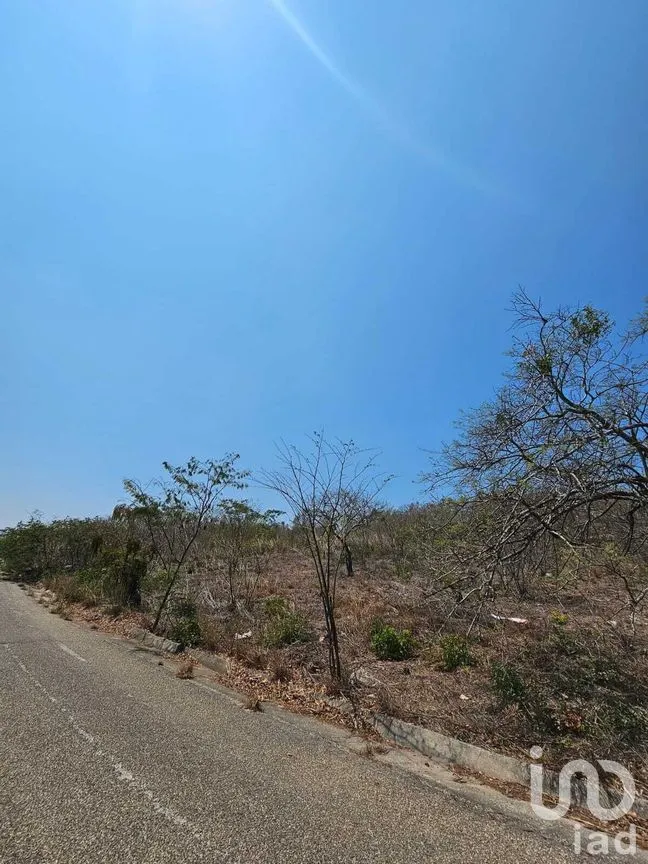 Terreno en Venta en La Ejidal, Berriozábal, Chiapas | NEX-268373 | iad México | Foto 11 de 12