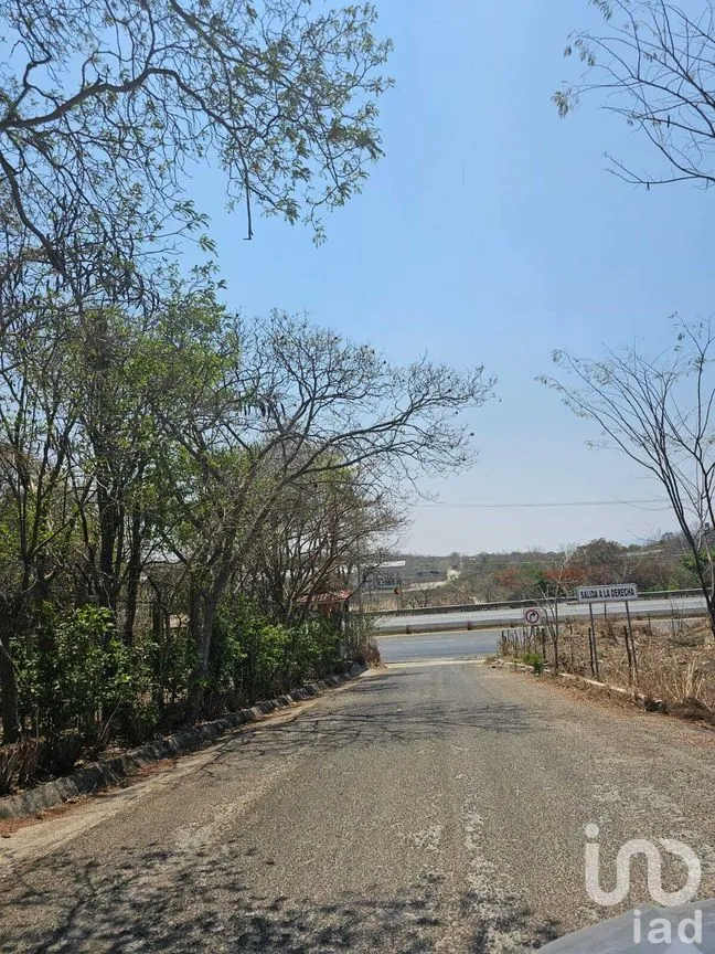 Terreno en Venta en La Ejidal, Berriozábal, Chiapas | NEX-268373 | iad México | Foto 12 de 12